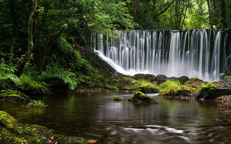 Galicia jungle waterfall 2020 Scenery graphy, HD wallpaper