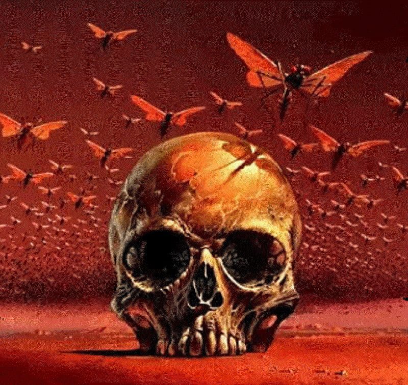 Crimson Invaders, red, swarm, fantasy, wings, sockets, skull, insects, teeth, HD wallpaper