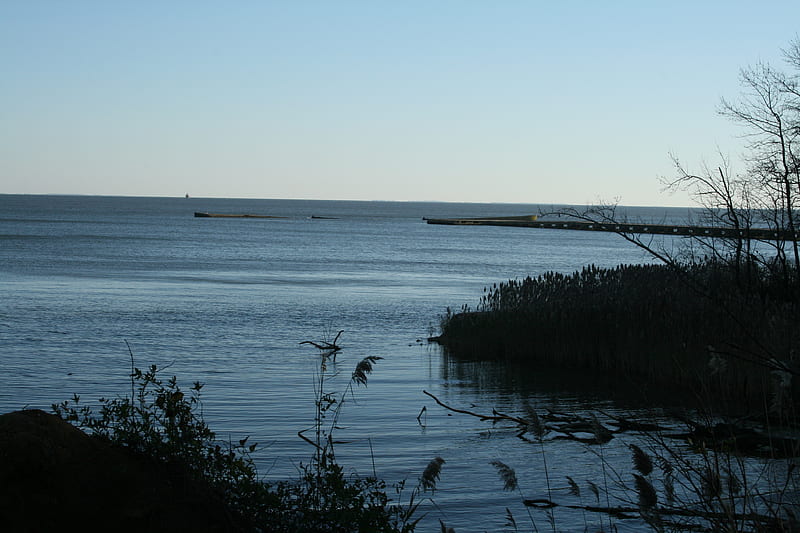 Chesapeake Bay Shoreline, shoreline, nature, water, sky, HD wallpaper