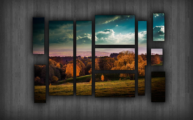 Organize-Your-, windows, frames, grass, nature, trees, clouds, sky, HD wallpaper