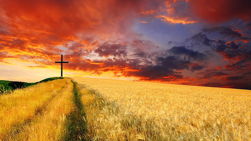 The Right Path, red, christian, golden, fields, sunset, clouds, cross, HD wallpaper