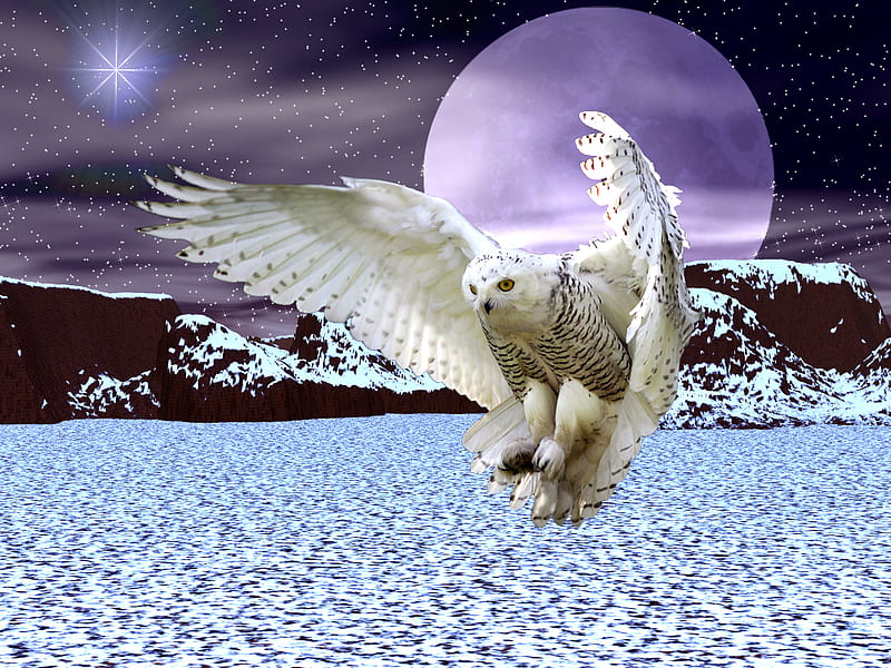 SNOWY OWL, owl, stars, flight, sky, clouds, snowy, moon, purple, mountains, HD wallpaper