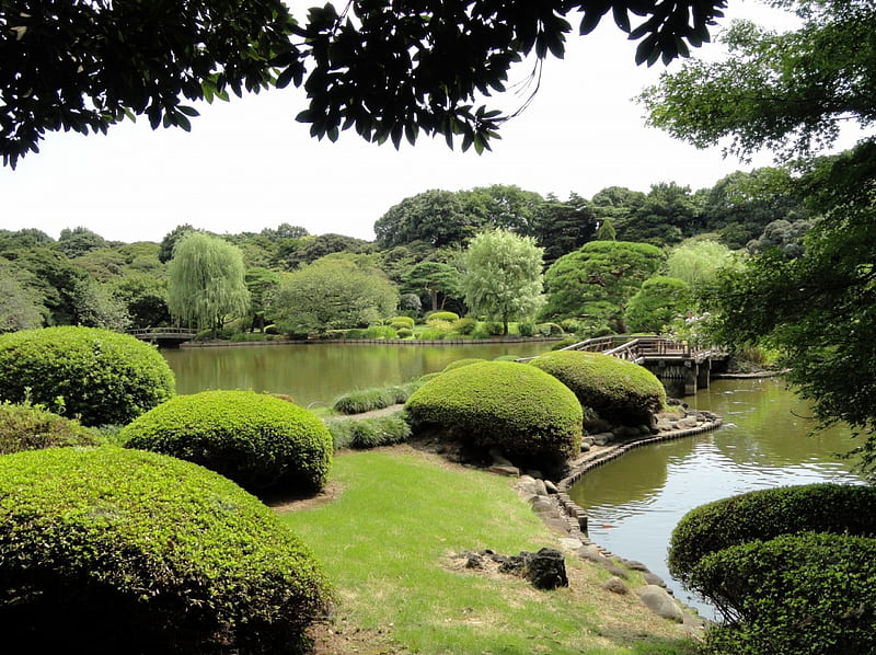 Japanese Garden, farden, shinjuku, japanese, park, lake, japan, tokyo, nature, scenery, HD wallpaper