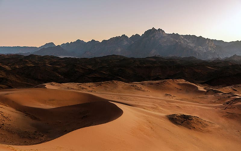 Summer Drought Desert Nature Reserve Saudi Arabia, HD wallpaper