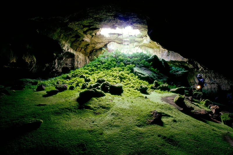 Earth under ground, moss, nature, cave, other, HD wallpaper