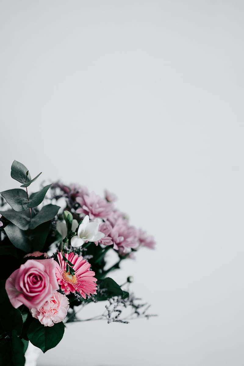 pink and white flower arrangement, HD phone wallpaper