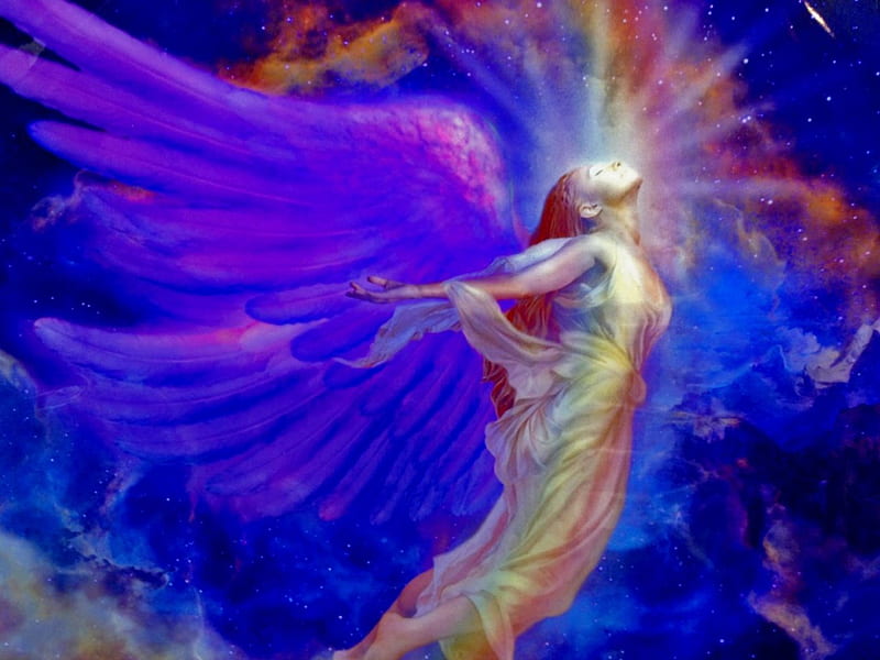 Ascension, wings, ascending, angel, heavenly, light, HD wallpaper
