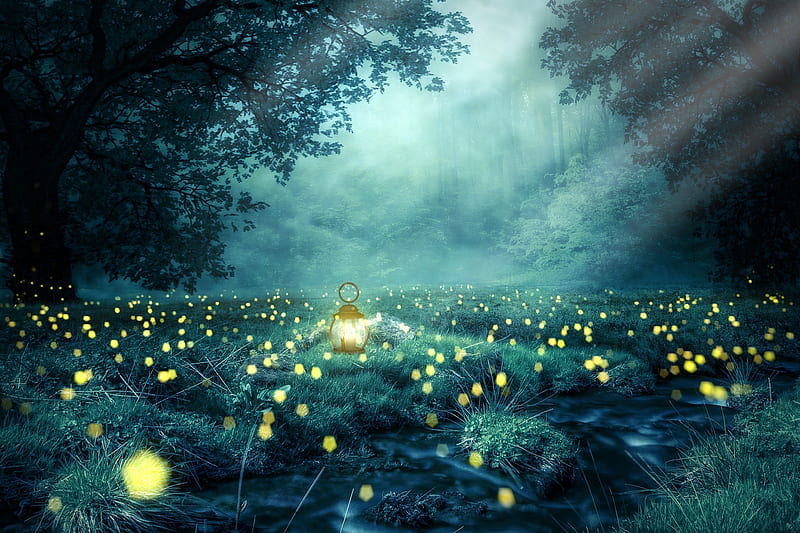 forest, fog, lantern, flowers, bokeh, trees, scenic, Fantasy, HD wallpaper