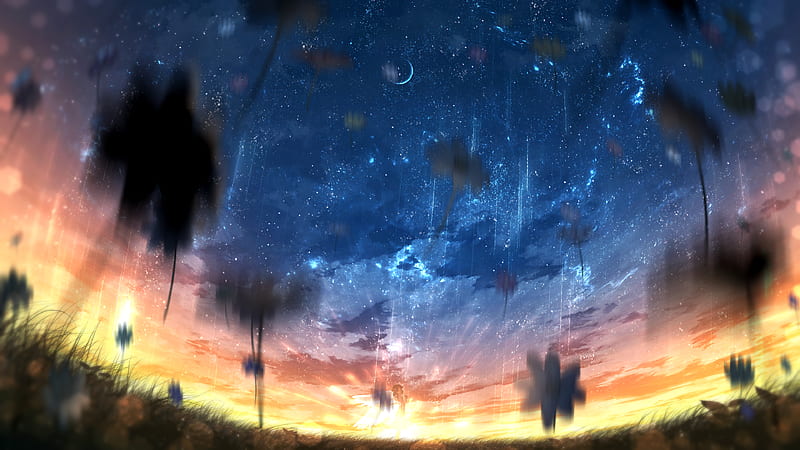 Anime, Original, Girl, Sky, Starry Sky, Sunset, Whale, HD wallpaper ...