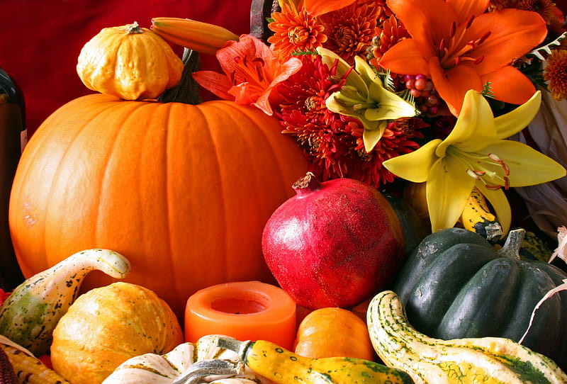 Autumn Harvest, candle, corn, Fall, pomegranate, lilies, squash, fruit, Thanksgiving, pumpkin, flowers, Autumn, HD wallpaper