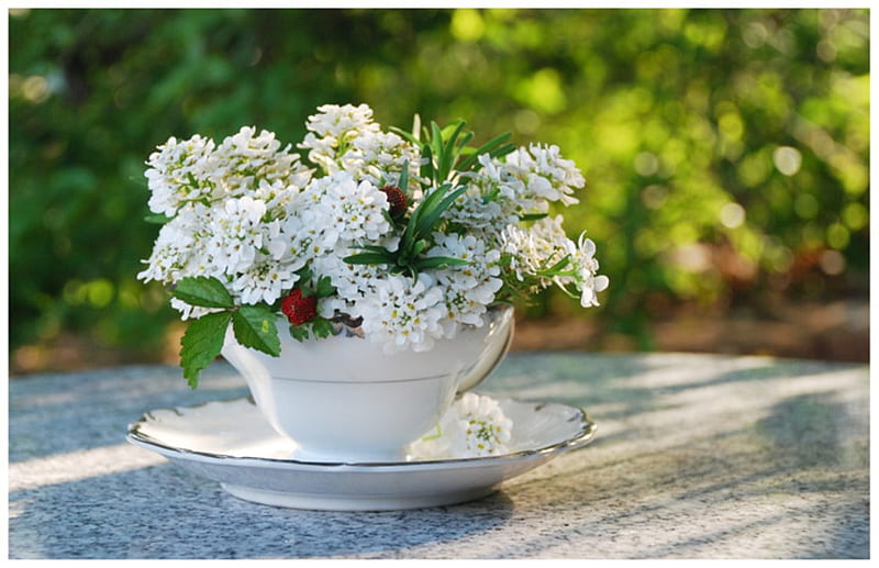 Small white bouquet, good morning, sunny day, bouquet, white flowers, flowers, plate, cup, beaty, HD wallpaper