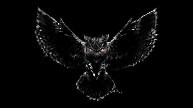 Scary owl, emmanuel andrade, owl, fantasy, wings, bird, pasari, black, HD wallpaper