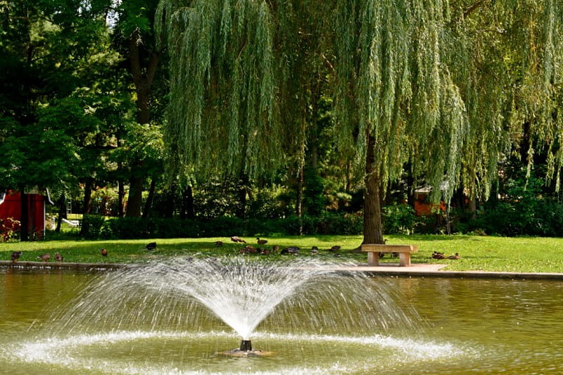 Scenic Falls, summer time, summer day, little pond, summer pond, scenic pond, HD wallpaper