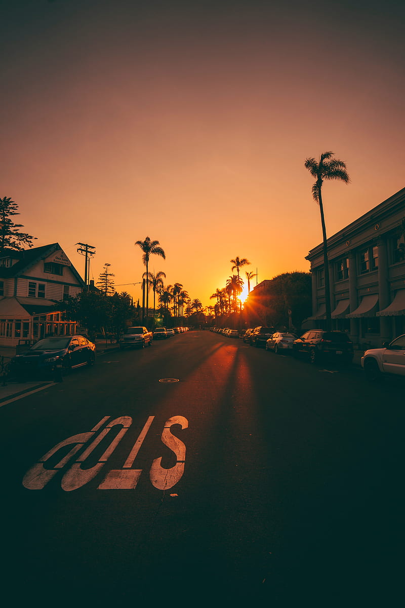 street, sunset, palm trees, road, road signs, carros, HD phone wallpaper