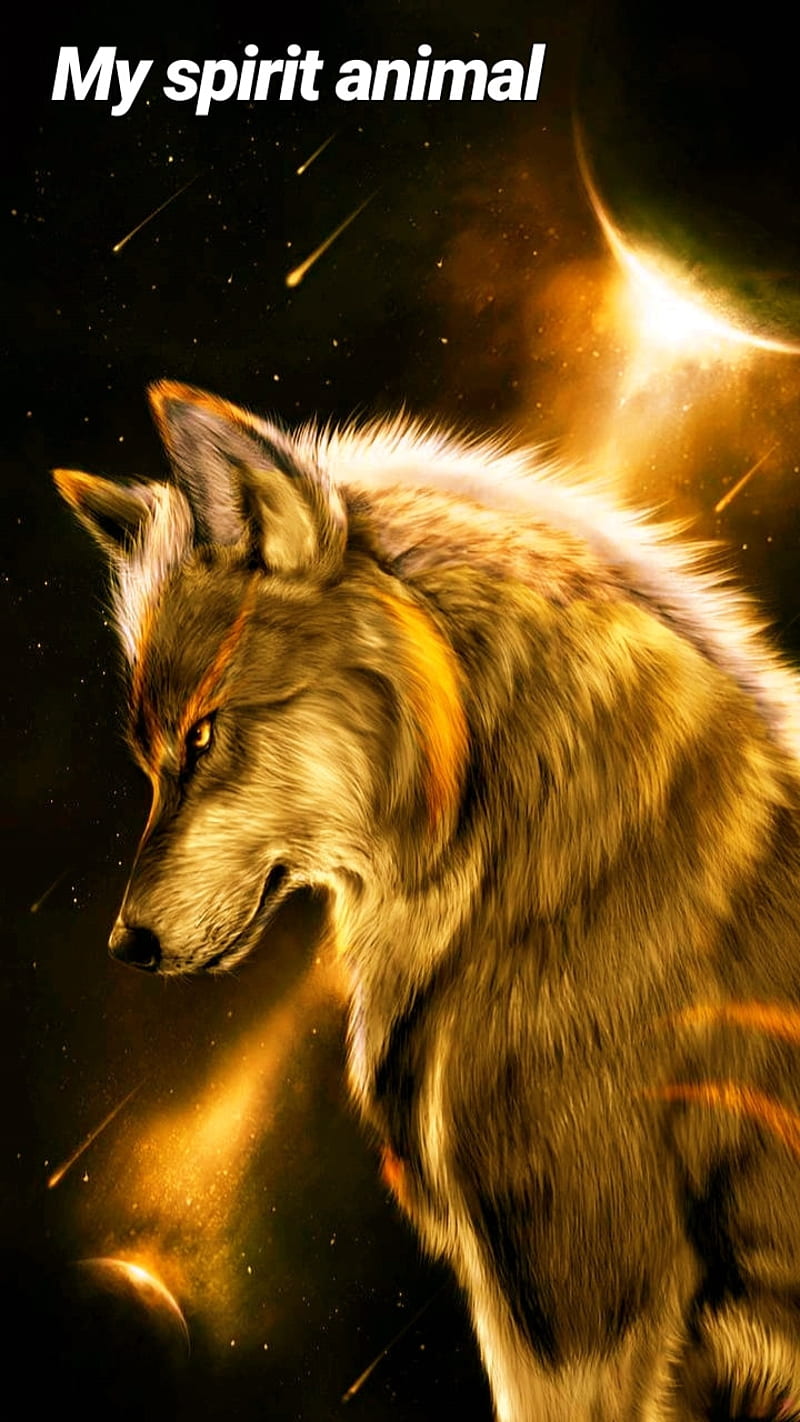 Golden lone wolf, lone, wolf, HD phone wallpaper