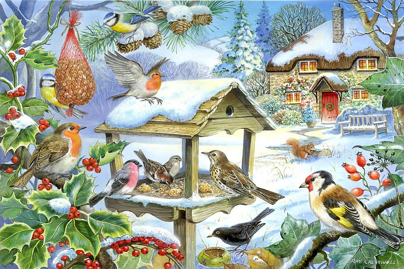 WINTER FEEDING, FEEDERS, BIRDS, WINTER, SNOW, HD wallpaper