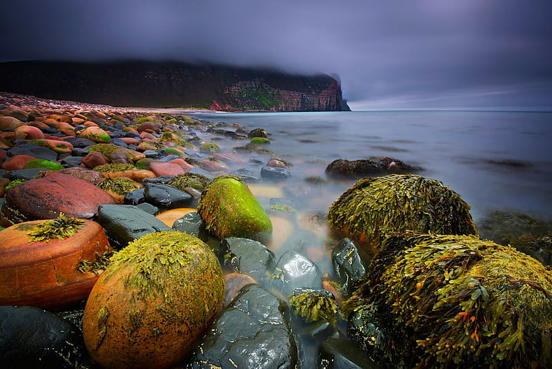 Orkney Islands, Scotland, beach, darky day, stones, cliff, bonito, clouds, sea, seaweed, HD wallpaper