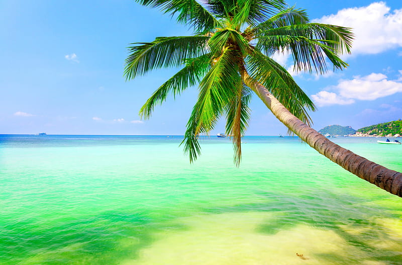 Tropical Paradise Vacation Ocean Palm Emerald Sea Beach Paradise Summer Hd Wallpaper