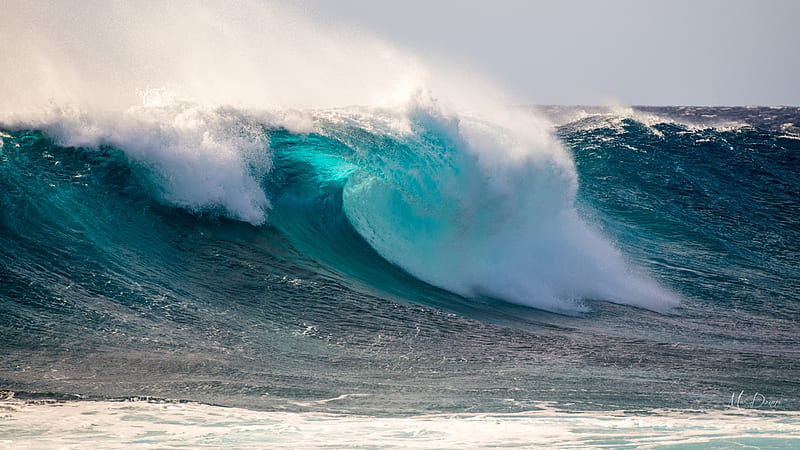 Big Wave III, beach, water, ocean, surf, sea, wave, HD wallpaper