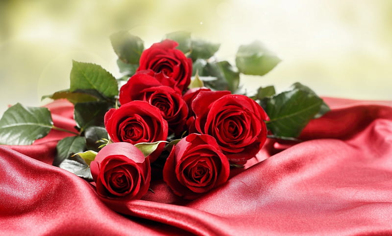 * Red roses *, red roses, flowers, silk, roses, HD wallpaper | Peakpx
