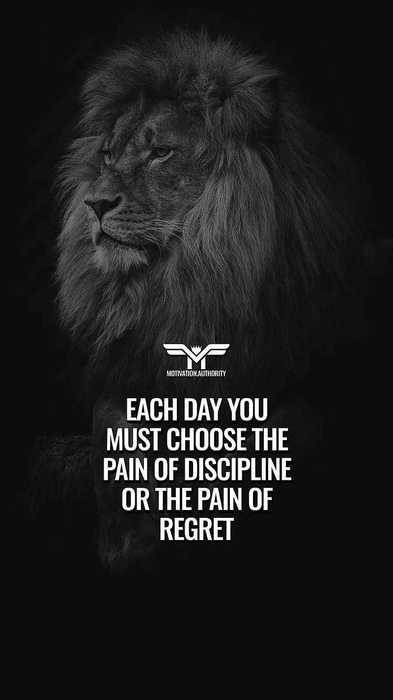 100 Lion Quotes To Boost Your Motivation  Addicted 2 Success