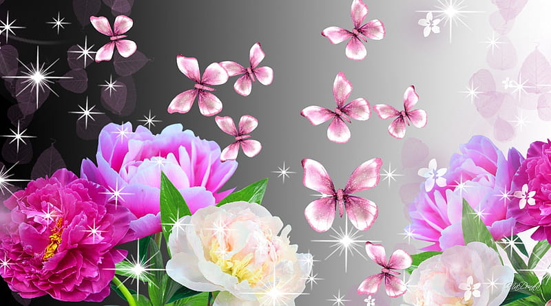 Dramatic Peonies, glow, fragrant, shine, butterflies, spring, silver, floral, peonies, peony, bright, summer, flowers, pink, HD wallpaper