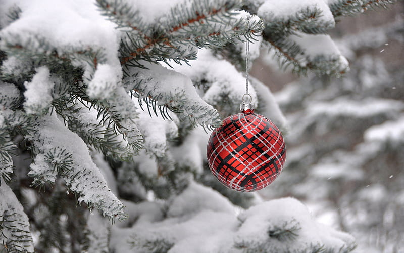 tree, snow, christmas ball, holiday, HD wallpaper