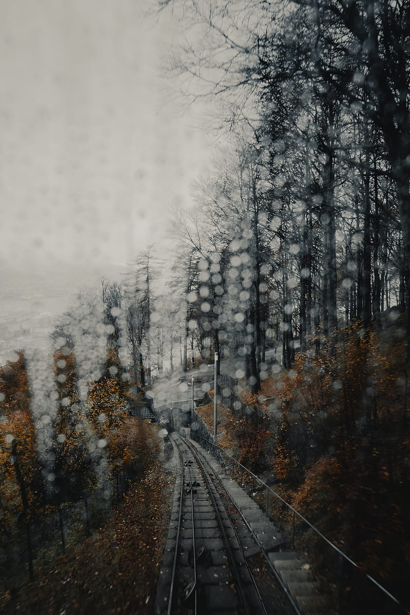 railway, rails, glare, fog, forest, HD phone wallpaper
