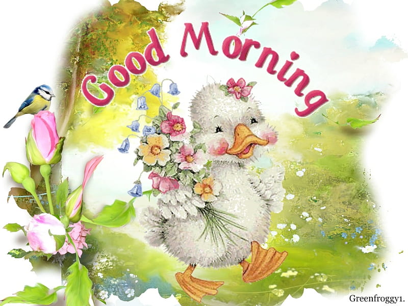 GOOD MORNING, COMMENT, GOOD, MORNING, CARD, HD wallpaper