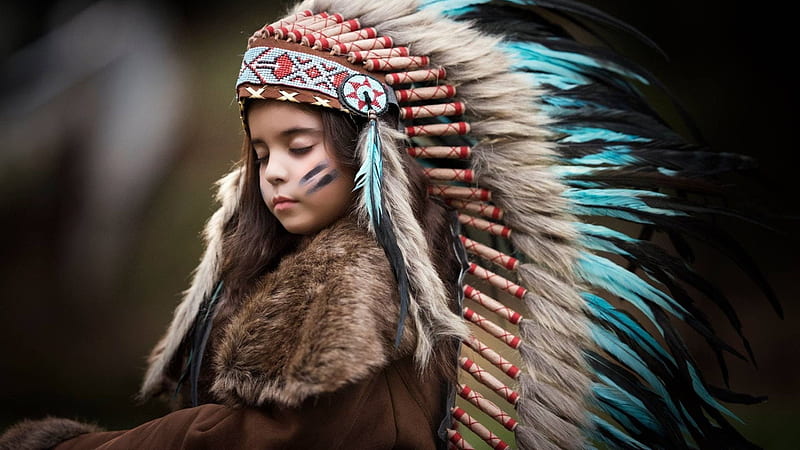 Download Native American Native American Women Beautiful RoyaltyFree Stock  Illustration Image  Pixabay
