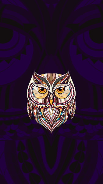 Ural Owl, hokkaido, tree, japan, nest, wild, HD wallpaper | Peakpx