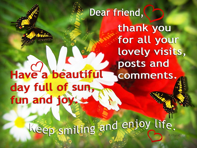 Beautiful Day Card , poppy, text, sun, words, butterflies, fun, joy, beautiful day, corazones, message, summer, flowers, garden, wishes, friends, daisy, HD wallpaper