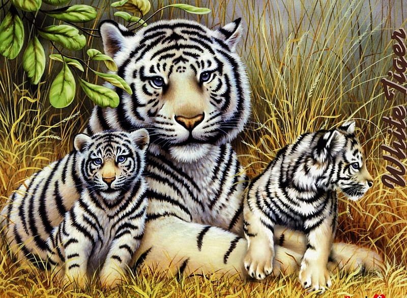 BIG CAT FAMILY, WILDLIFE, MOTHER, ANIMALS, CUBS, HD wallpaper | Peakpx