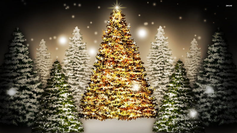 Christmas Tree, Christmas, Tree, HD wallpaper | Peakpx