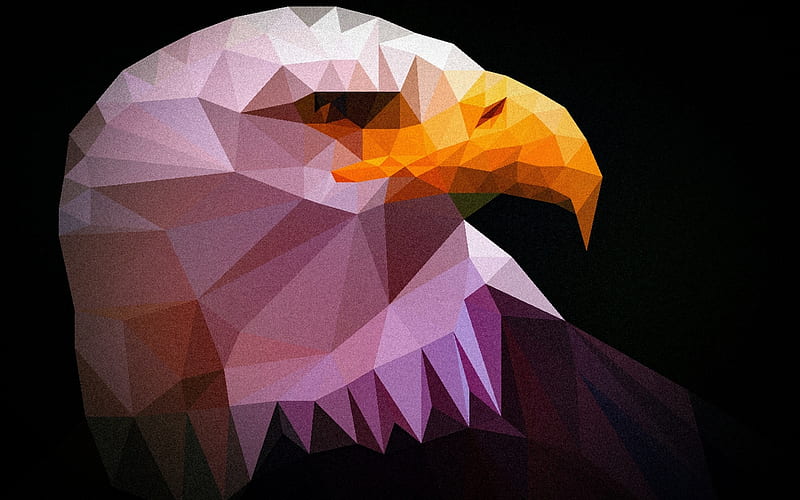 Eagle, low poly art, predatory bird, 3d art, birds, HD wallpaper