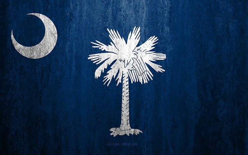 Flag of South Carolina stone background, American state, grunge flag, South Carolina flag, USA, grunge art, South Carolina, flags of US states, HD wallpaper