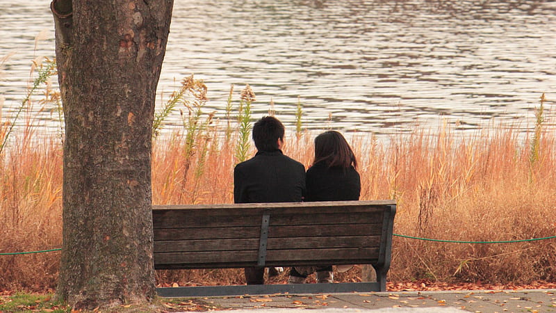 Couple Is Sitting On Wood Bench Couple, HD wallpaper