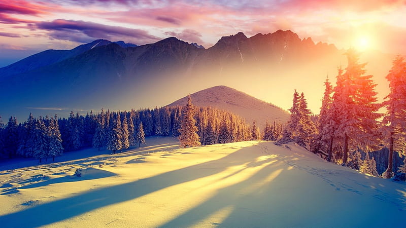 Winter landscape, colorful, amazing, bonito, trees, sky, ski, mist, winter, mountain, snow, landscape, frost, HD wallpaper