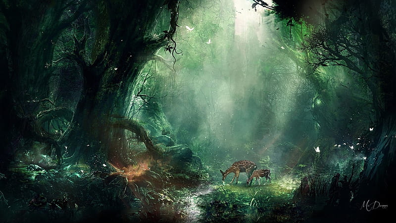 mystic forest wallpaper