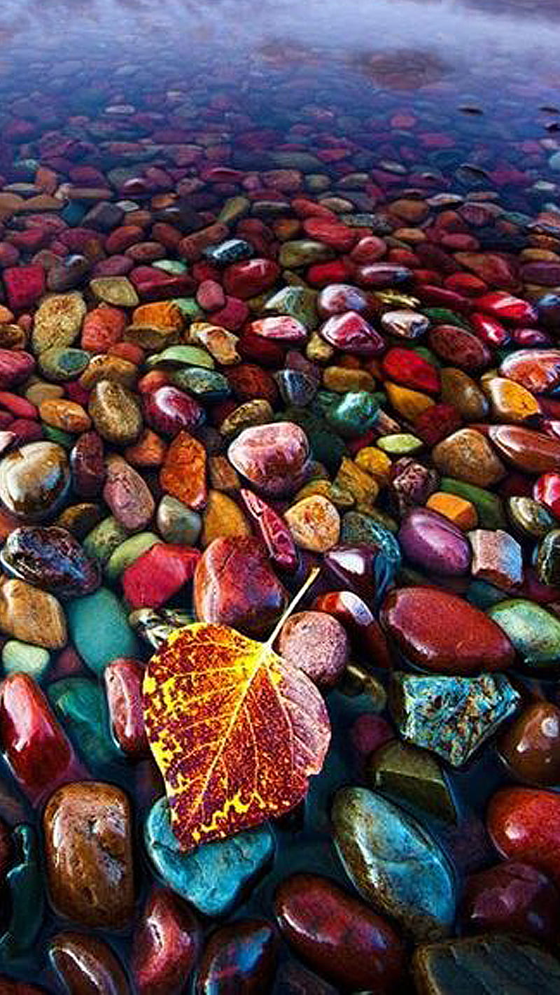 Stones, blue, color, green, leaf, red, water, yellow, HD phone wallpaper