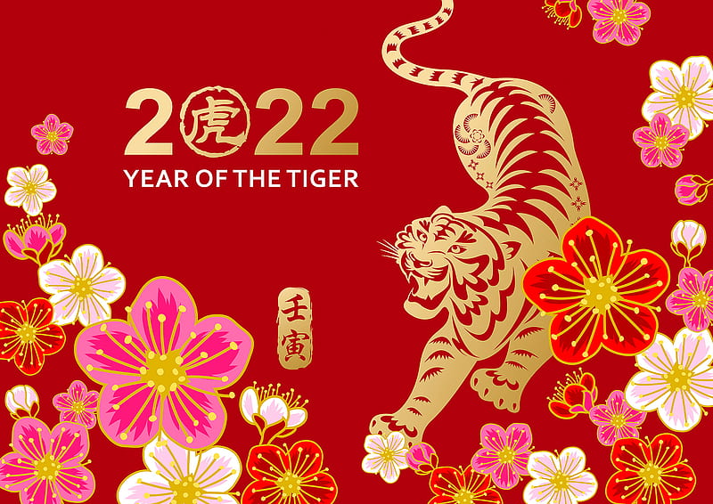 Holiday, Chinese New Year, Flower , Year of the Tiger, HD wallpaper