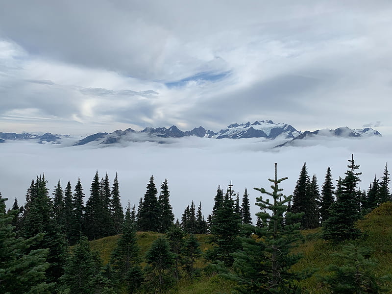 mountains, trees, fog, clouds, landscape, HD wallpaper