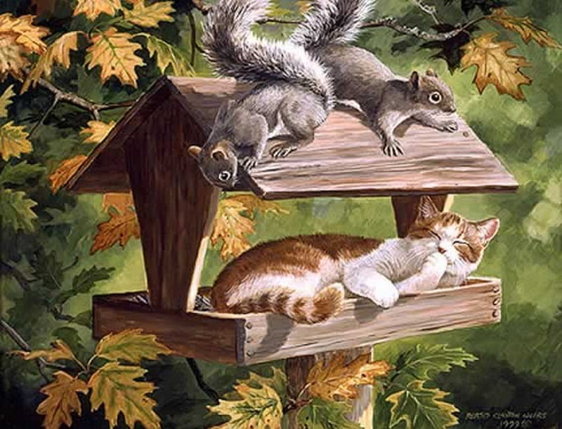 DO NOT DISTURB !, autumn, squirrel, feeder, cat, HD wallpaper