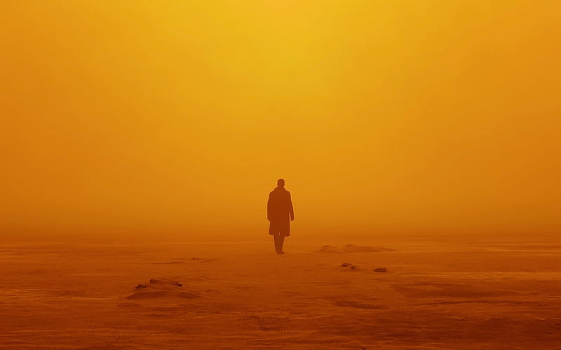 Blade Runner 2049, Officer K, 2017, Ryan Gosling, sunset, poster, HD wallpaper