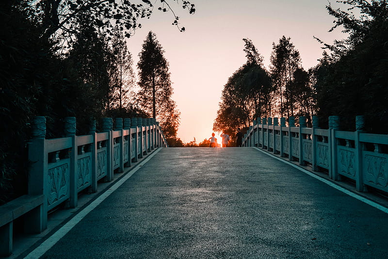 bridge, road, asphalt, sunset, dusk, HD wallpaper