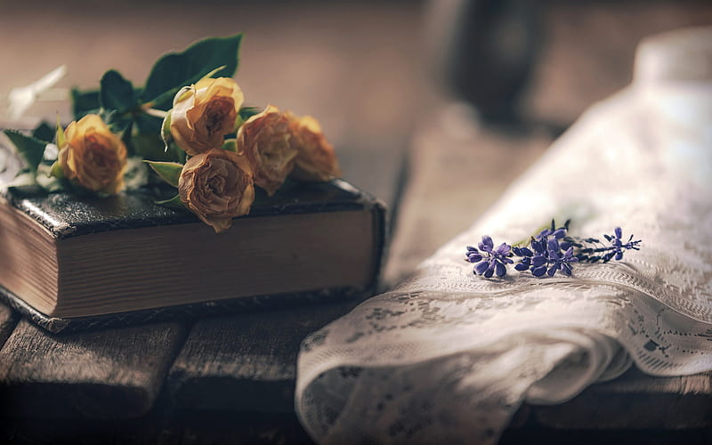 book on the table, dried roses, old book, white tulle, beautiful flowers, HD wallpaper