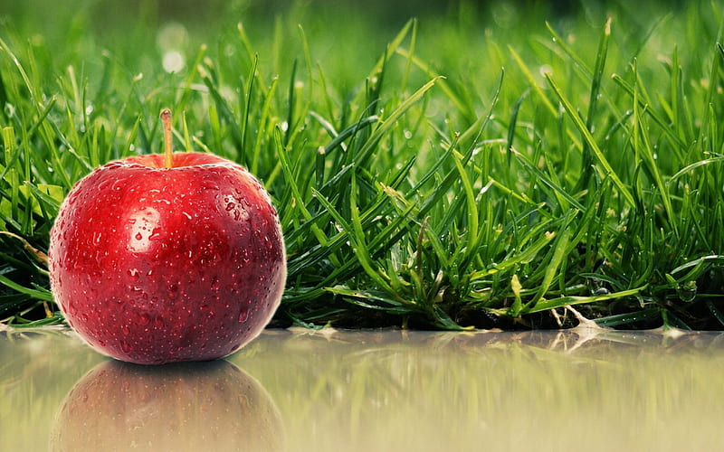 red apple, apple, fruit, red, green, grass, HD wallpaper