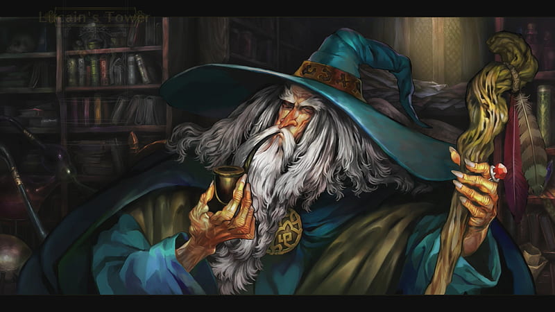 Wisest Wizord