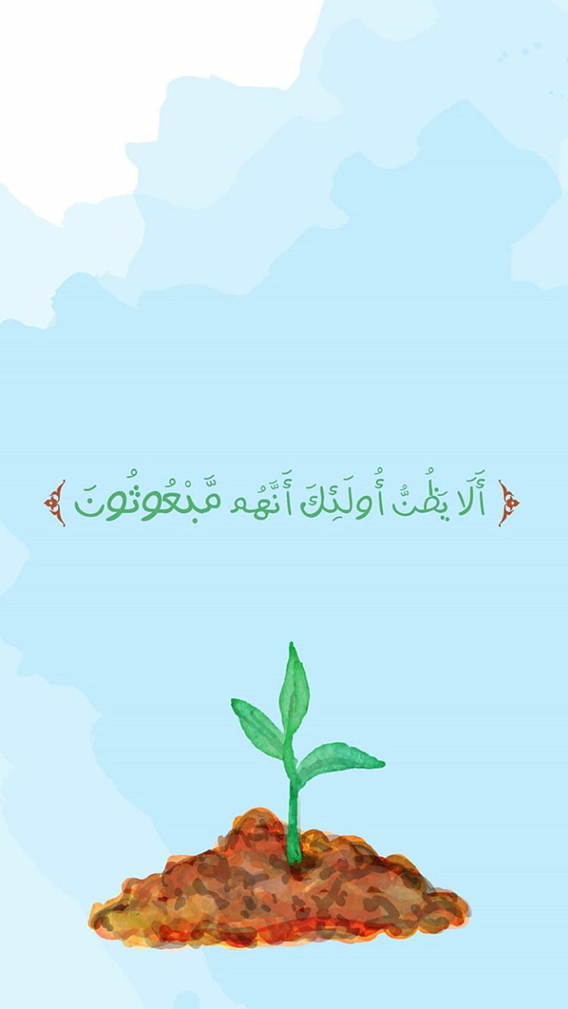 Quraan, islamic, HD phone wallpaper