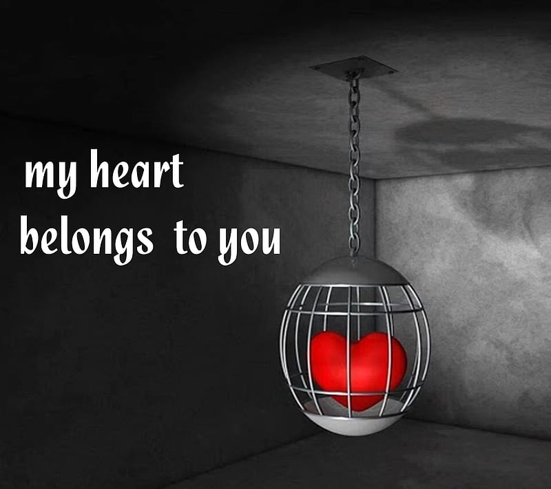 My Heart To You, belongs to you, my heart, HD wallpaper